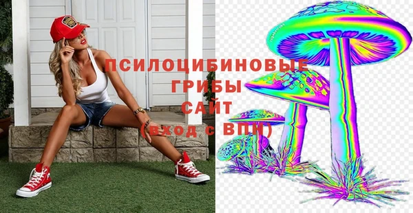 2c-b Арсеньев