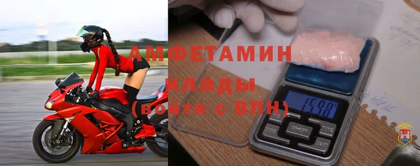 твердый Аркадак