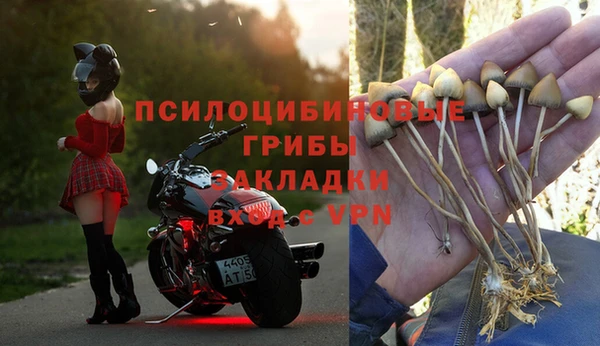 дурь Протвино