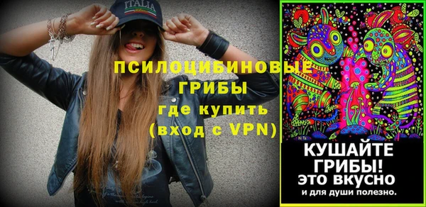 твердый Аркадак